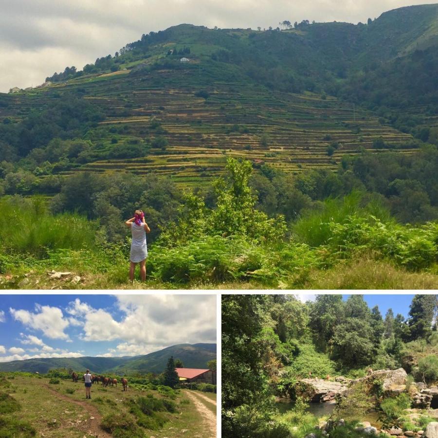 Jardim Da Celeste Viana do Castelo Ngoại thất bức ảnh